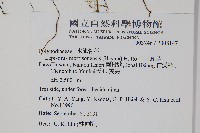 玉山瓦葦藏品圖，第2張