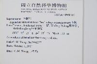 木賊藏品圖，第2張