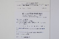 長葉鳳尾蕨藏品圖，第2張