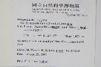 扇蕨藏品圖，第2張