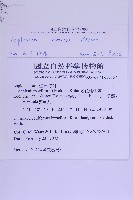 尖葉鐵角蕨藏品圖，第2張