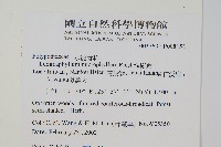 抱樹蕨、伏石蕨藏品圖，第2張