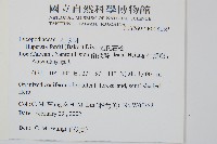 福氏石松藏品圖，第2張