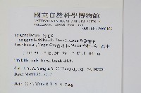 全緣卷柏藏品圖，第2張