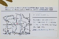 歐紫萁藏品圖，第2張