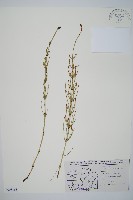 登錄號:P008163藏品圖，第1張