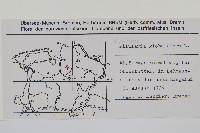 絲萍藏品圖，第2張