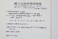 瓶蕨藏品圖，第2張