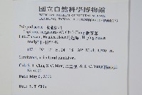 麟瓦葦、川上氏瓦葦藏品圖，第2張