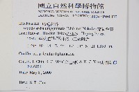 生芽狗脊蕨、頂芽狗脊蕨藏品圖，第2張