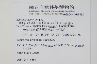 玉山卷柏藏品圖，第2張