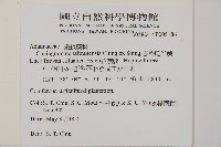 臺灣鳳丫蕨藏品圖，第2張