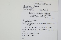 蕗蕨藏品圖，第2張