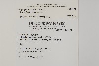 粉葉蕨藏品圖，第2張