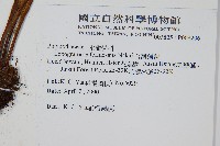 台灣劍蕨藏品圖，第2張