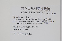 擬芨瓦葦藏品圖，第2張