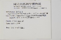 劍葉鐵角蕨、箭葉鐵角蕨藏品圖，第2張