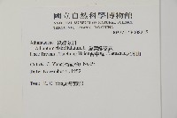 扇葉鐵線蕨藏品圖，第2張