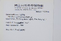 蕨藏品圖，第2張