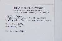 細柄雙蓋蕨藏品圖，第2張