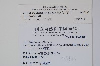 鋸齒葉耳蕨藏品圖，第2張