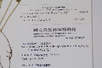 對生耳蕨藏品圖，第2張