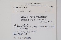 登錄號:P008246藏品圖，第2張