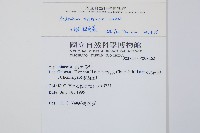 三翅鐵角蕨藏品圖，第2張