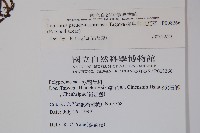 擬烏蘇里瓦葦藏品圖，第2張