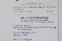 骨牌蕨藏品圖，第2張