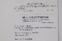 擬烏蘇里瓦葦藏品圖，第2張