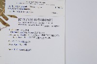 韓氏羅曼蕨藏品圖，第2張