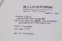 紅苞蹄蓋蕨藏品圖，第2張