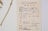 過山龍藏品圖，第2張