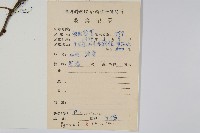 石葦藏品圖，第2張