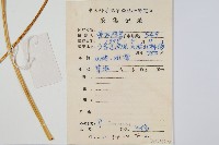 紫萁藏品圖，第2張