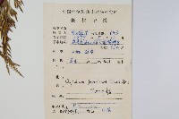 日本金粉蕨藏品圖，第2張