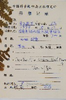 碗蕨藏品圖，第2張