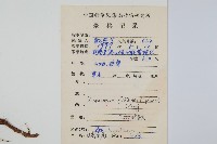 大星蕨藏品圖，第2張