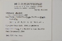 鹵蕨藏品圖，第2張