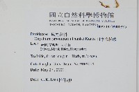 日本金粉蕨藏品圖，第2張