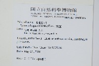 石葦藏品圖，第2張