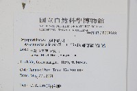 細葉複葉耳蕨藏品圖，第2張