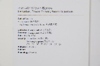 單邊鐵角蕨藏品圖，第2張