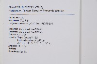 鋸齒雙蓋蕨、線葉雙蓋蕨、刺鱗雙蓋蕨藏品圖，第2張