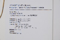 鋸齒雙蓋蕨、線葉雙蓋蕨、刺鱗雙蓋蕨藏品圖，第2張