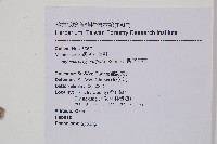 觀音座蓮藏品圖，第2張