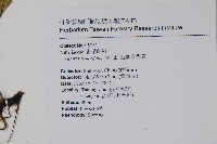 垂葉書帶蕨藏品圖，第2張