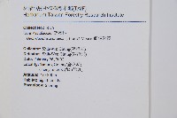 刺柄碗蕨藏品圖，第2張