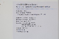 密毛蒿蕨藏品圖，第2張